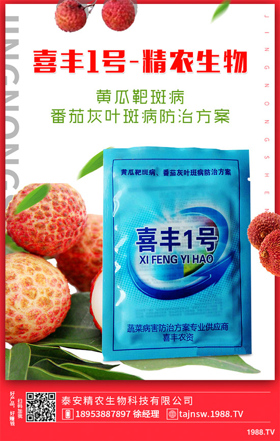 廣金錢草種植需要哪些條件？廣金錢草扦插育苗要點(diǎn)！