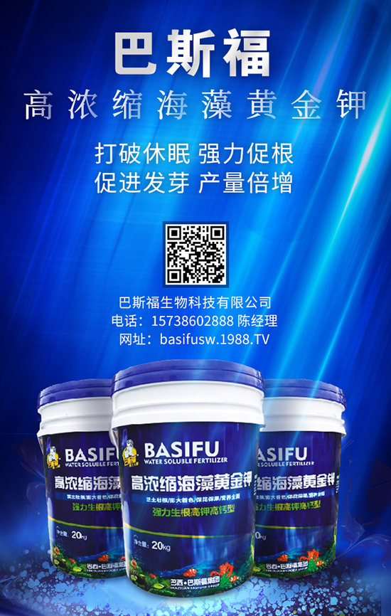 玉米施肥的更佳時(shí)間是啥時(shí)候？ 咋樣施效果好？
