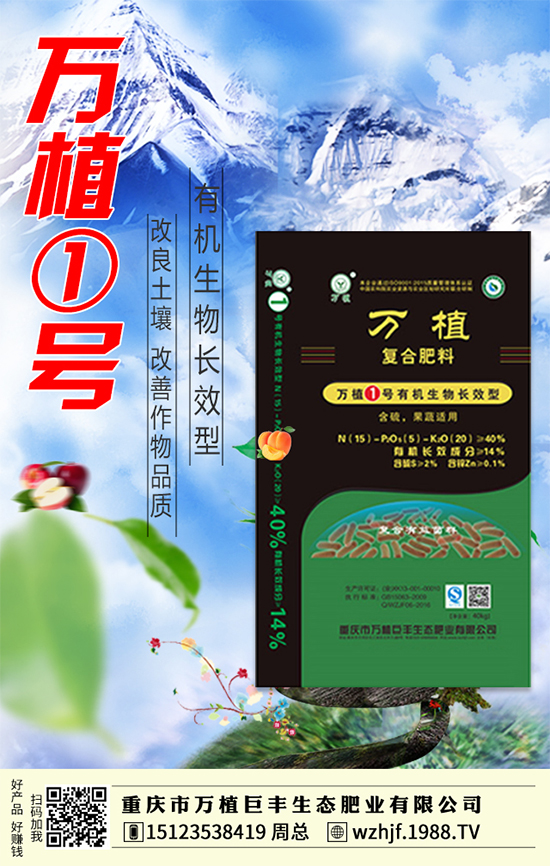     ��(zh��n)�Ժ���������(j��)���f(w��n)ֲ���S�y��1988.TV�ل�(chu��ng)�x�ͣ�