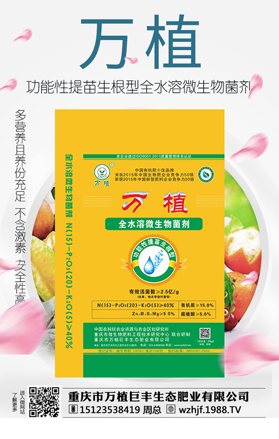     ��(zh��n)�Ժ���������(j��)���f(w��n)ֲ���S�y��1988.TV�ل�(chu��ng)�x����