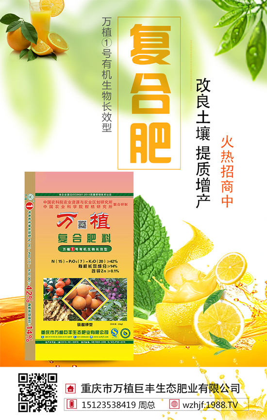     ��(zh��n)�Ժ���������(j��)���f(w��n)ֲ���S�y��1988.TV�ل�(chu��ng)�x����