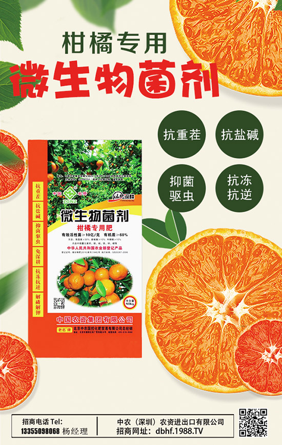     2020山藥價(jià)格多少錢(qián)一斤？種植前景如何？山藥種植高產(chǎn)管理技術(shù)！