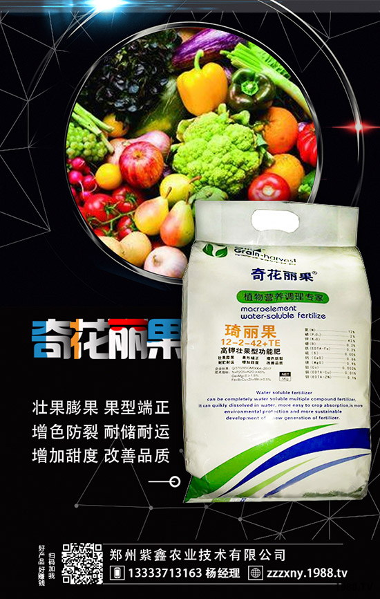 草莓母苗定植后怎樣施肥？怎樣澆水？