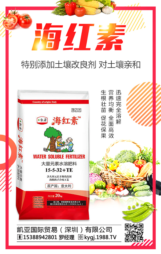 金錢(qián)草的產(chǎn)地分布在哪？金錢(qián)草種植注意事項(xiàng)！