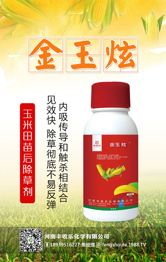 �������\�l(f��)չ�������S�՘��ٺ�1988.TV�_��(chu��ng)���x�ͣ�