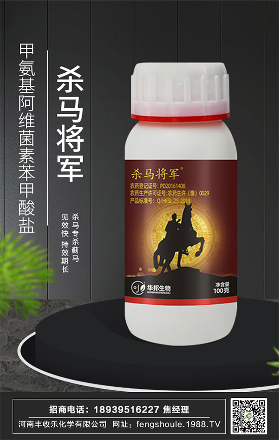 �������\�l(f��)չ�������S�՘��ٺ�1988.TV�_��(chu��ng)���x����