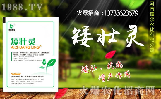 ���ϱ����m(x��)�s1988.TV���y�ֹ���(chu��ng)���x����