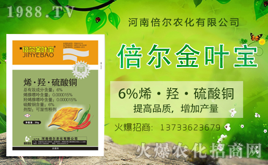 ���ϱ����m(x��)�s1988.TV���y�ֹ���(chu��ng)���x�ͣ�