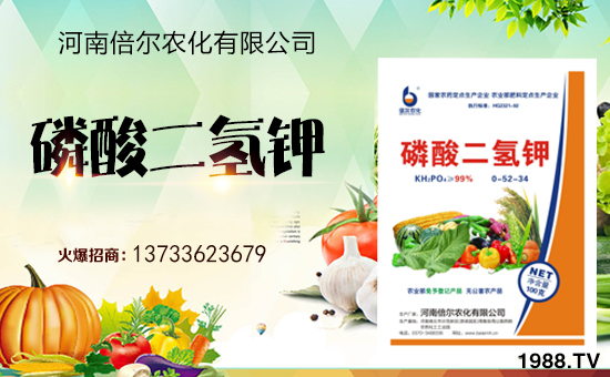 ���ϱ����m(x��)�s1988.TV���y�ֹ���(chu��ng)���x����