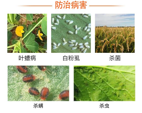 ��ǑҸ�Һ�w���Ʒ-��(zh��n)�ۡ���-���r(n��ng)����_03