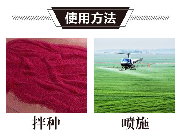 碳?xì)浜朔?金藻門-碳?xì)鋰H_05