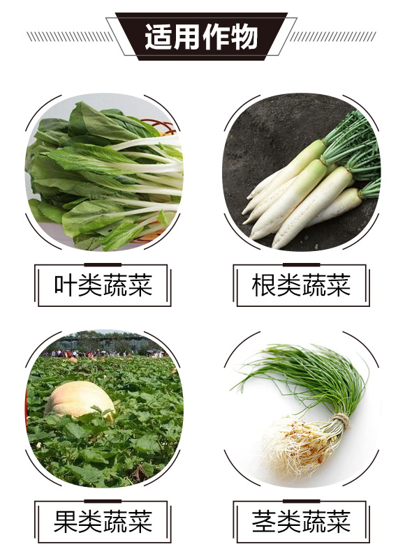 碳氫核肥-綠藻門-碳氫國際_03