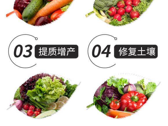 �Y(ji��)����ֲ���-����һ̖-��ɫ���B(t��i)_05