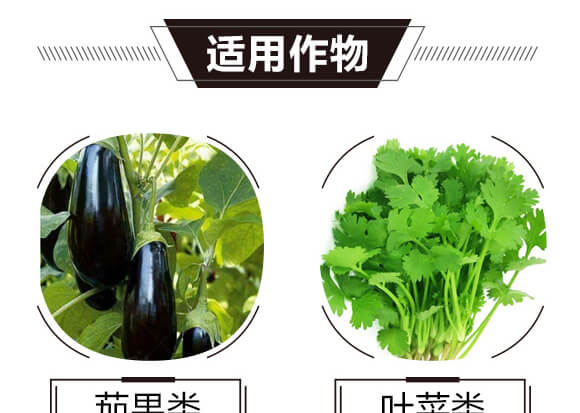 礦源黃腐酸鉀-烏金999-黑色生態(tài)_06