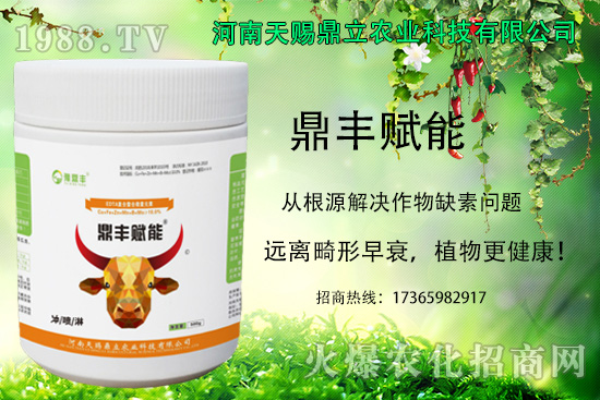 油麥菜怎么進行追肥？油麥菜的種植注意事項！