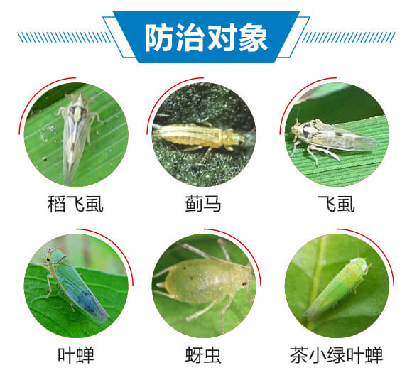 6%聯(lián)菊·啶蟲脒-耕田人-潤(rùn)倍生物_03