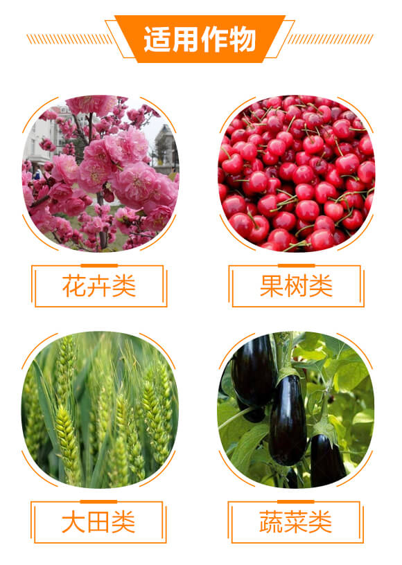 ����Ԫ��ˮ�ܷ���19-19-19+TE+C-�֠���(y��u)_05