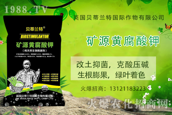 哈密瓜怎么種？哈密瓜種植應(yīng)該注意哪些事項？