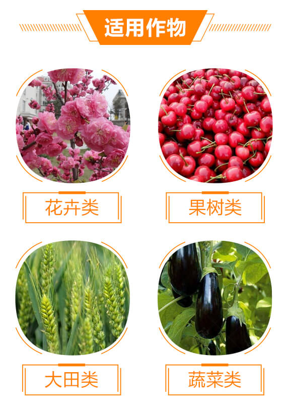 ����Ԫ��ˮ�ܷ���12-4-40+TE+C-�֠���(y��u)_05