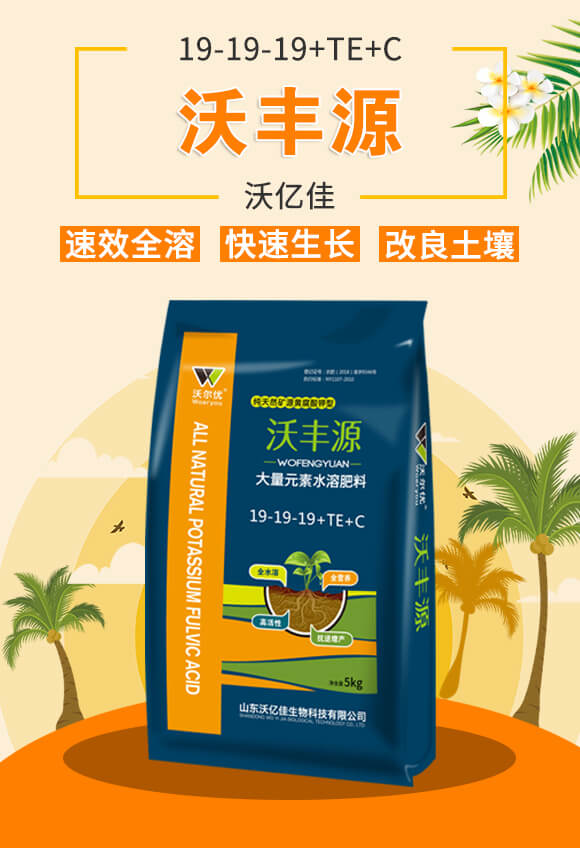 ����Ԫ��ˮ�ܷ���19-19-19+TE+C-�֠���(y��u)_01