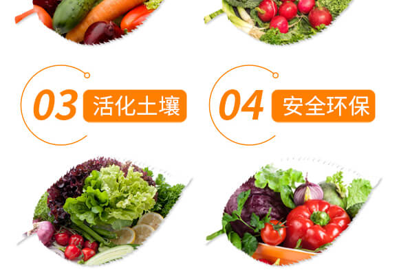 根結(jié)線蟲高效處理劑-益佐益佑_06