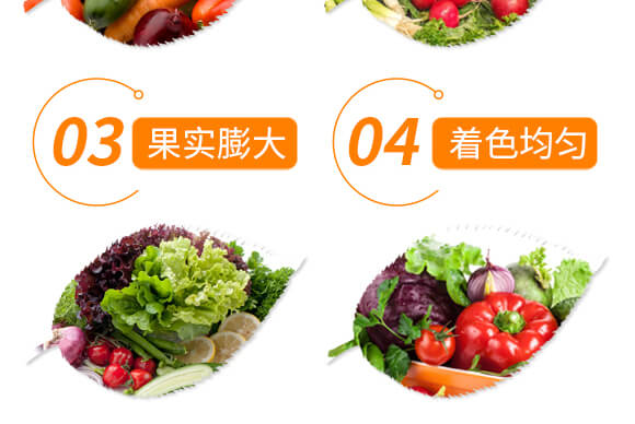 ����Ԫ��ˮ�ܷ���10-35-10+TE+C-�֠���(y��u)_07