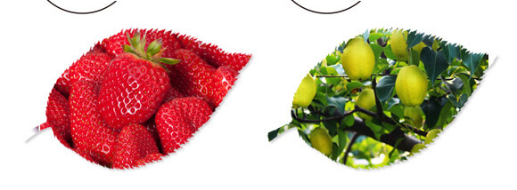 碳氫核肥-藍藻門-碳氫國際_10