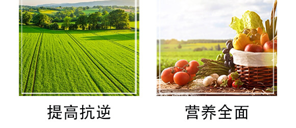 �S������΢�ЙC(j��)����-С����-�r(n��ng)��һ_07