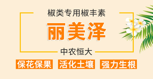 椒類(lèi)專(zhuān)用椒豐素-麗美澤-中農(nóng)恒大_01