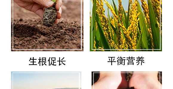 �S���������ЙC����-С����-�r(n��ng)��һ_06