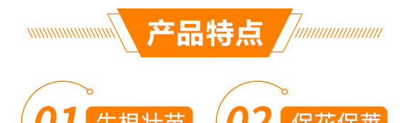 豆角專用豆?jié)M架-麗美澤-中農(nóng)恒大_05