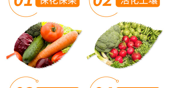 椒類(lèi)專(zhuān)用椒豐素-麗美澤-中農(nóng)恒大_06