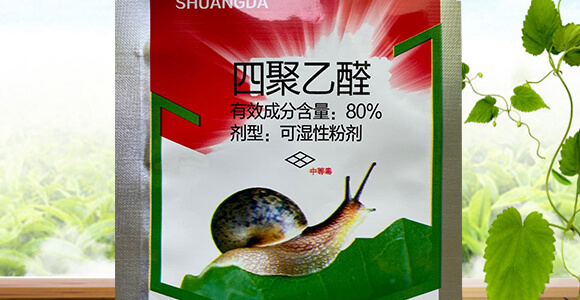 80%四聚乙醛(15克)-雙打-凱諾生物_02