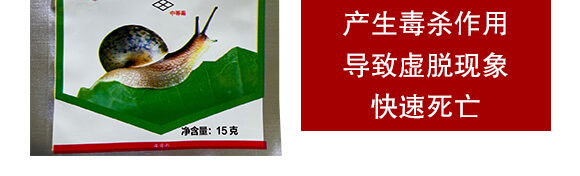 80%四聚乙醛(15克)-雙打-凱諾生物_04