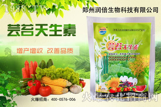 黃連苗期怎么管理？黃連苗期病蟲害防治！