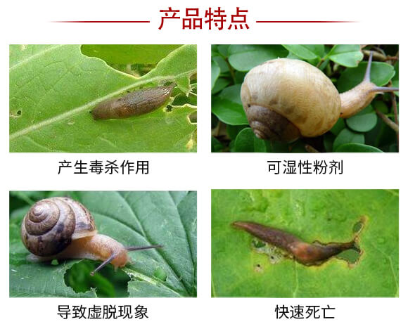 80%四聚乙醛(15克)-雙打-凱諾生物_05