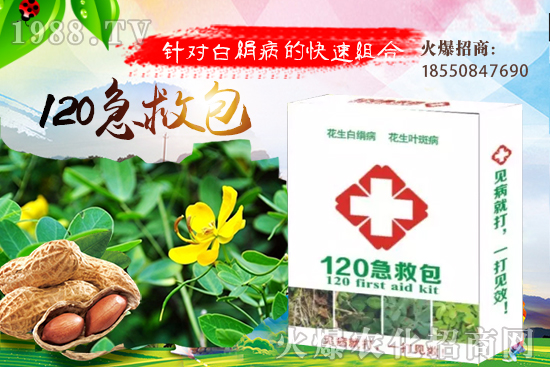 黃瓜嫁接有什么好處？如何培育黃瓜嫁接苗？