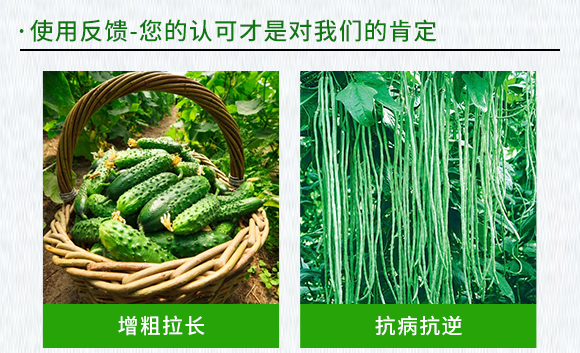 黃瓜、豆角專用含氨基酸水溶肥料-伊力奇-科德寶2