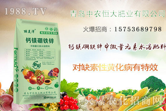 韭菜什么時(shí)候播種？韭菜市場(chǎng)前景如何？（附種植成本及利潤(rùn)分析）