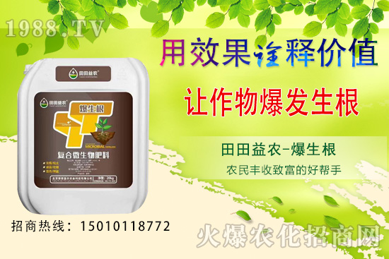 六月可以種植的蔬菜有哪些？六月種蔬菜管理要點(diǎn)！