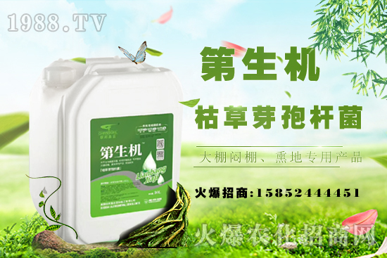 桃樹嫁接常用工具，桃樹嫁接后注意事項！