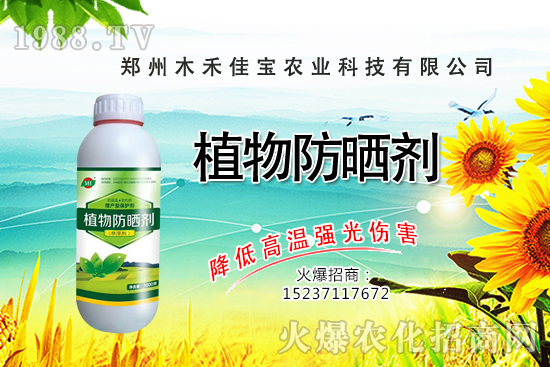 芽苗菜種植前景怎么樣，芽苗菜種植技術(shù)有哪些？