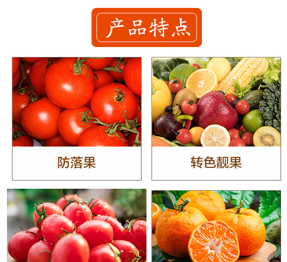 �t֮��-�|����-������_03