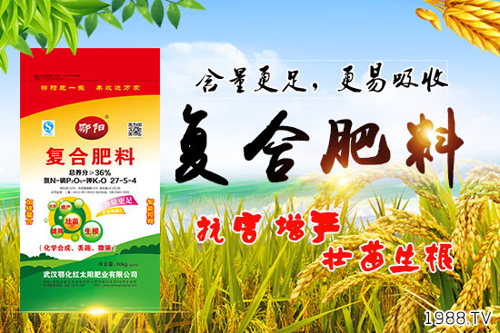 血橙有哪些營養(yǎng)價(jià)值？吃血橙有什么好處？