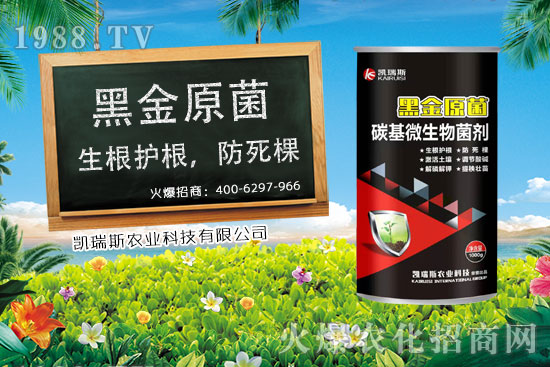     玉米什么時候成熟，玉米的收獲時期，玉米的營養(yǎng)價值！