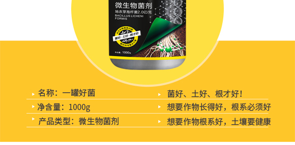 河南騰豐農(nóng)業(yè)科技有限公司2_04