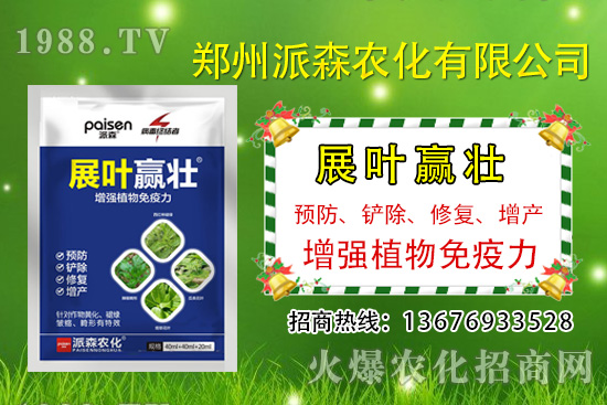 秋黃瓜什么時(shí)候種，秋黃瓜的種植時(shí)間及管理方法！