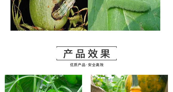 河南騰豐農(nóng)業(yè)科技有限公司2_14