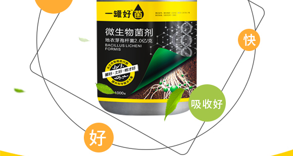 河南騰豐農(nóng)業(yè)科技有限公司2_07