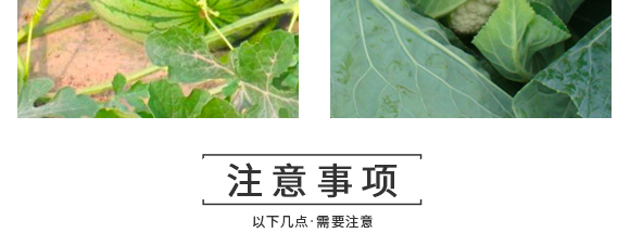 河南騰豐農(nóng)業(yè)科技有限公司2_17